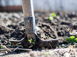 gardening
